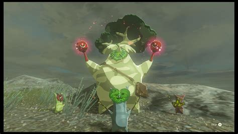 How To Increase Inventory In Zelda: Bre.